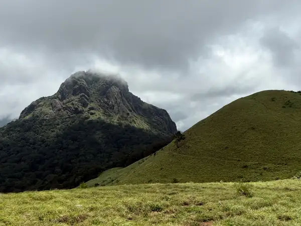 Grassland trail leading to a forested peak in Silent Valley National Park under monsoon clouds